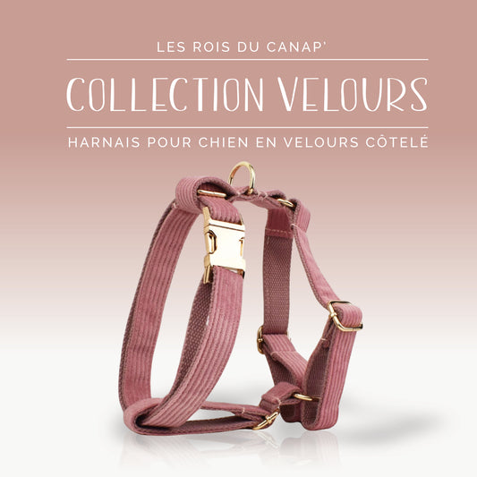 Harnais Chien - Velours - Rose Poudré - Collier Harnais Chien - Velours - Rose Poudré