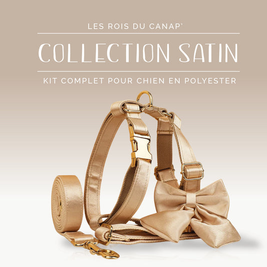  Kit Complet Chien 4 pièces - Satin - Doré
