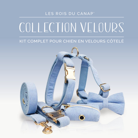  Kit Complet Chien 5 pièces - Velours - Bleu Ciel