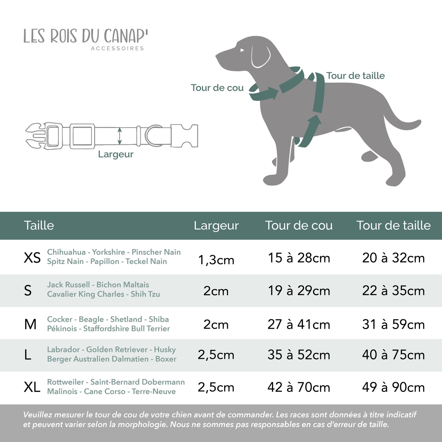 kit complet - le rois du canap - collier personnalisé
