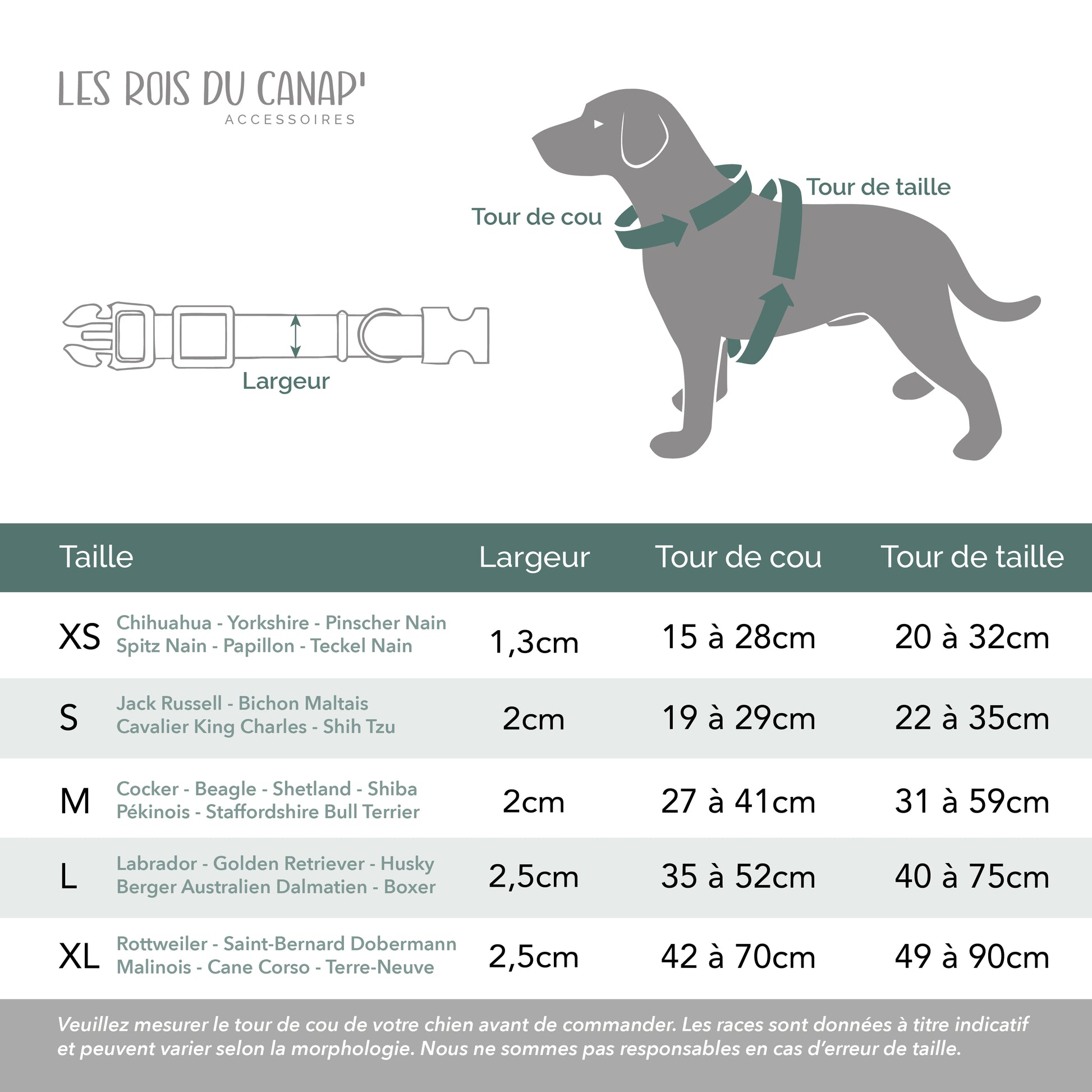 kit complet - le rois du canap - collier personnalisé