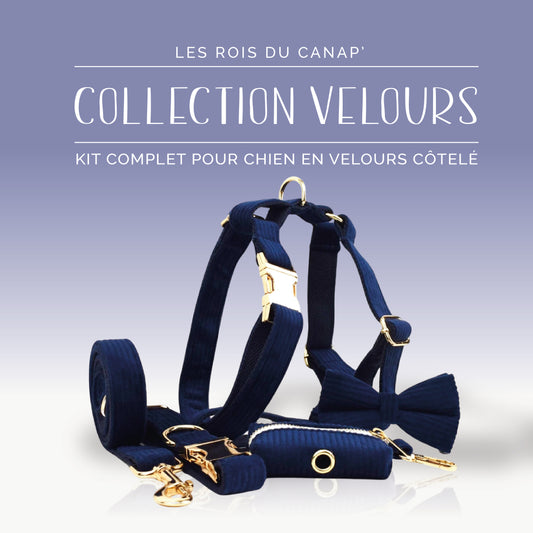  Kit Complet Chien 5 pièces - Velours - Bleu Marine