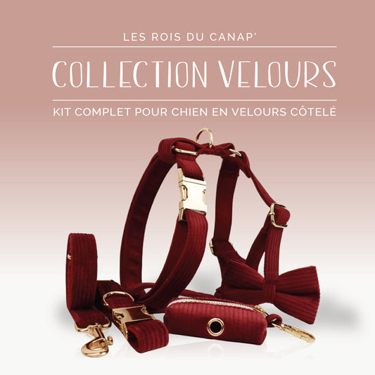 Kit Complet Chien 5 pièces - Velours - Rouge