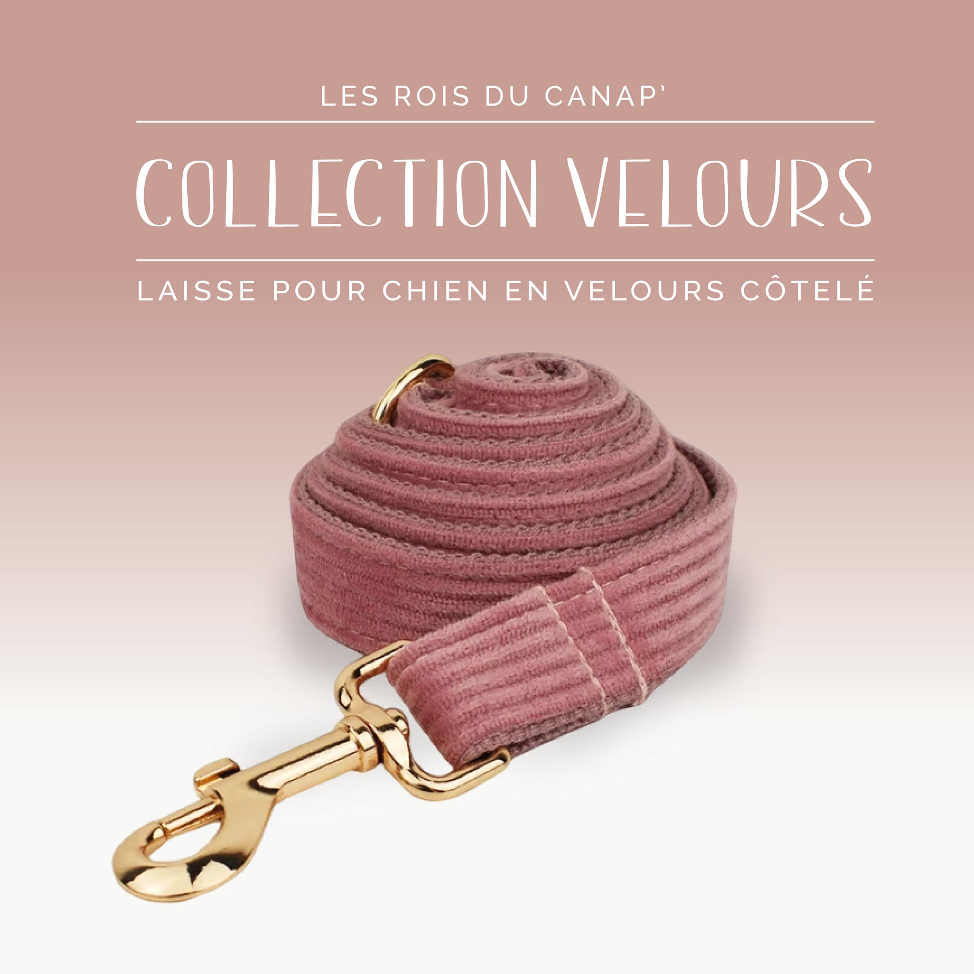 Laisse Chien - Velours - Rose Poudré - Collier Laisse Chien - Velours - Rose Poudré