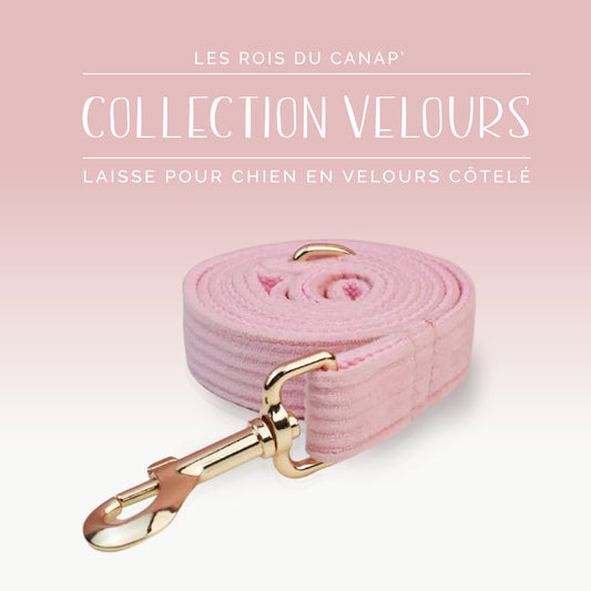 Laisse Chien - Velours - Rose Bonbon - Collier Laisse Chien - Velours - Rose Bonbon