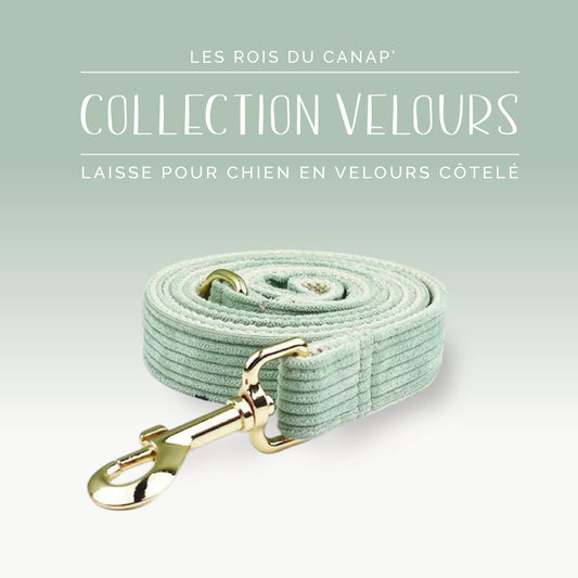 Laisse Chien - Velours - Vert Clair - Collier Laisse Chien - Velours - Vert Clair