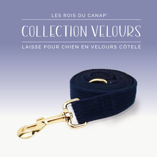 Laisse Chien - Velours - Bleu Marine - Collier Laisse Chien - Velours - Bleu Marine