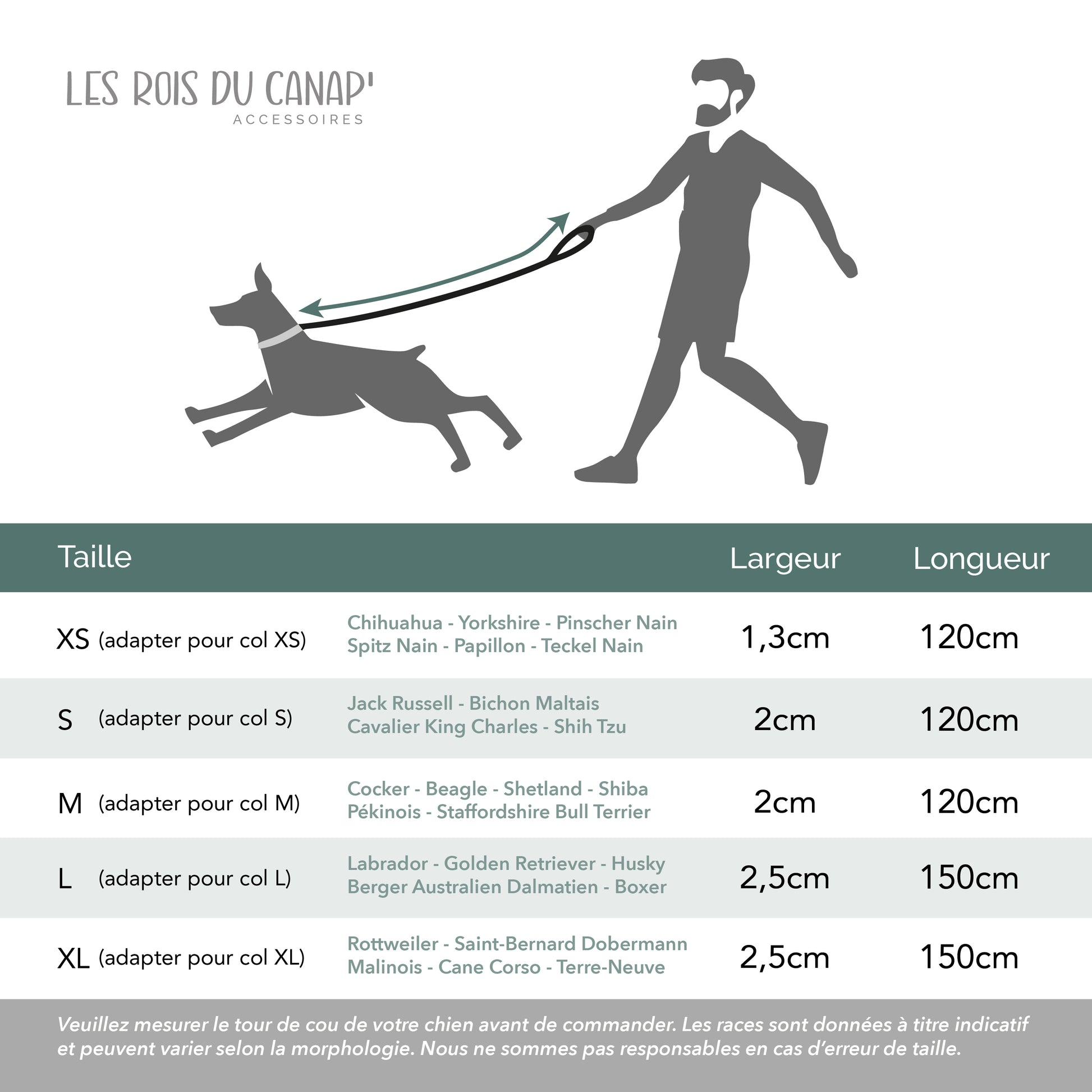 laisse - le rois du canap - collier personnalisé
