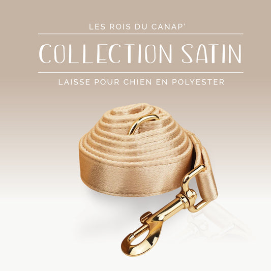 Laisse Chien - Satin - Doré - Collier Laisse Chien - Satin - Doré