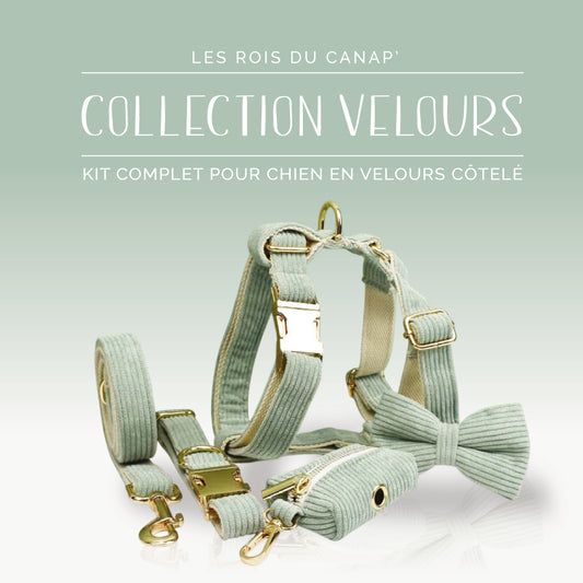  Kit Complet Chien 5 pièces - Velours - Vert Clair