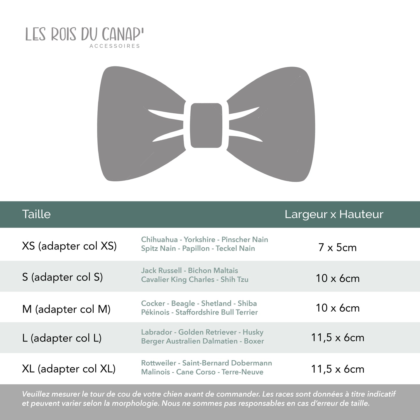Nœud Papillon Chien - Les rois du canap