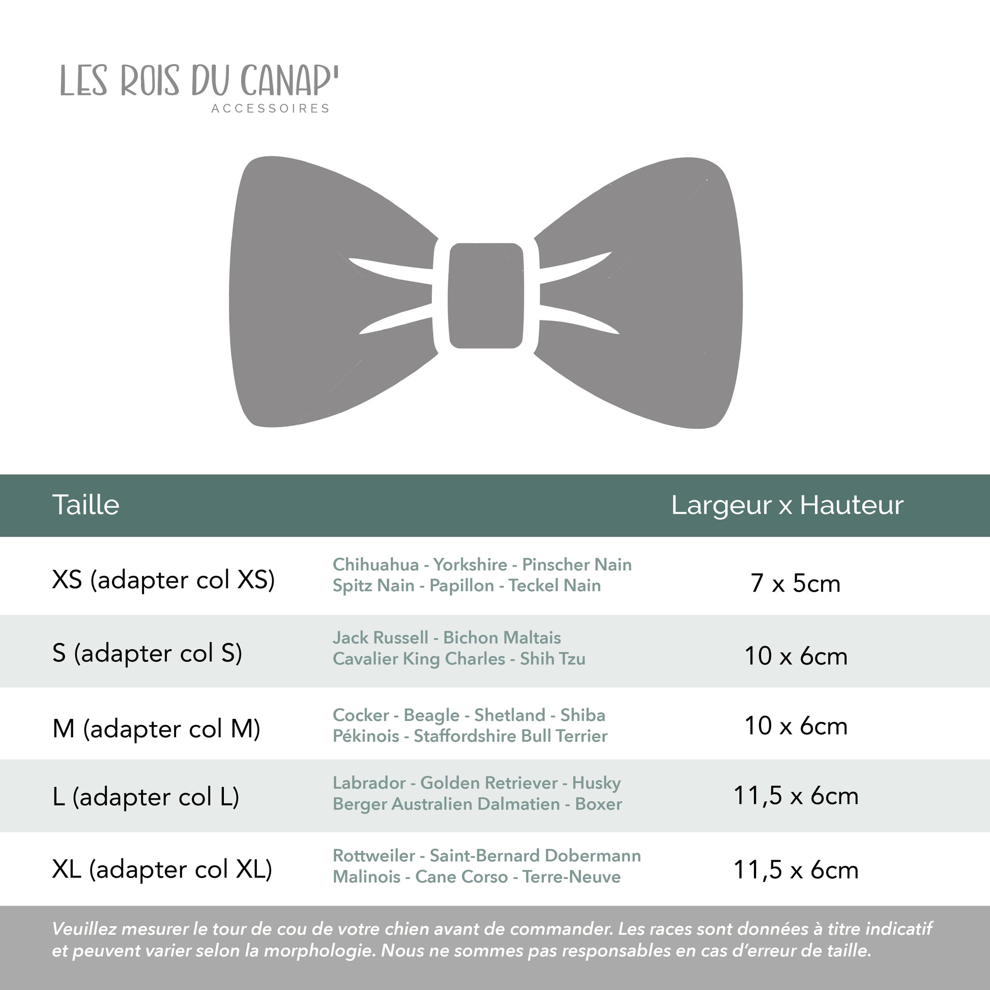 Nœud Papillon Chien - Les rois du canap