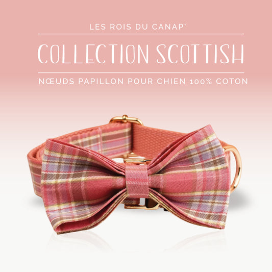 Nœud Papillon Chien - Scottish - Rose - Collier Nœud Papillon Chien - Scottish - Rose