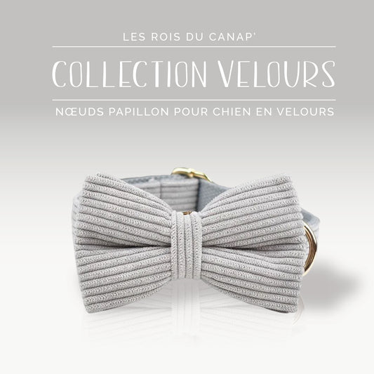 Nœud Papillon Chien - Velours - Gris - Collier Nœud Papillon Chien - Velours - Gris