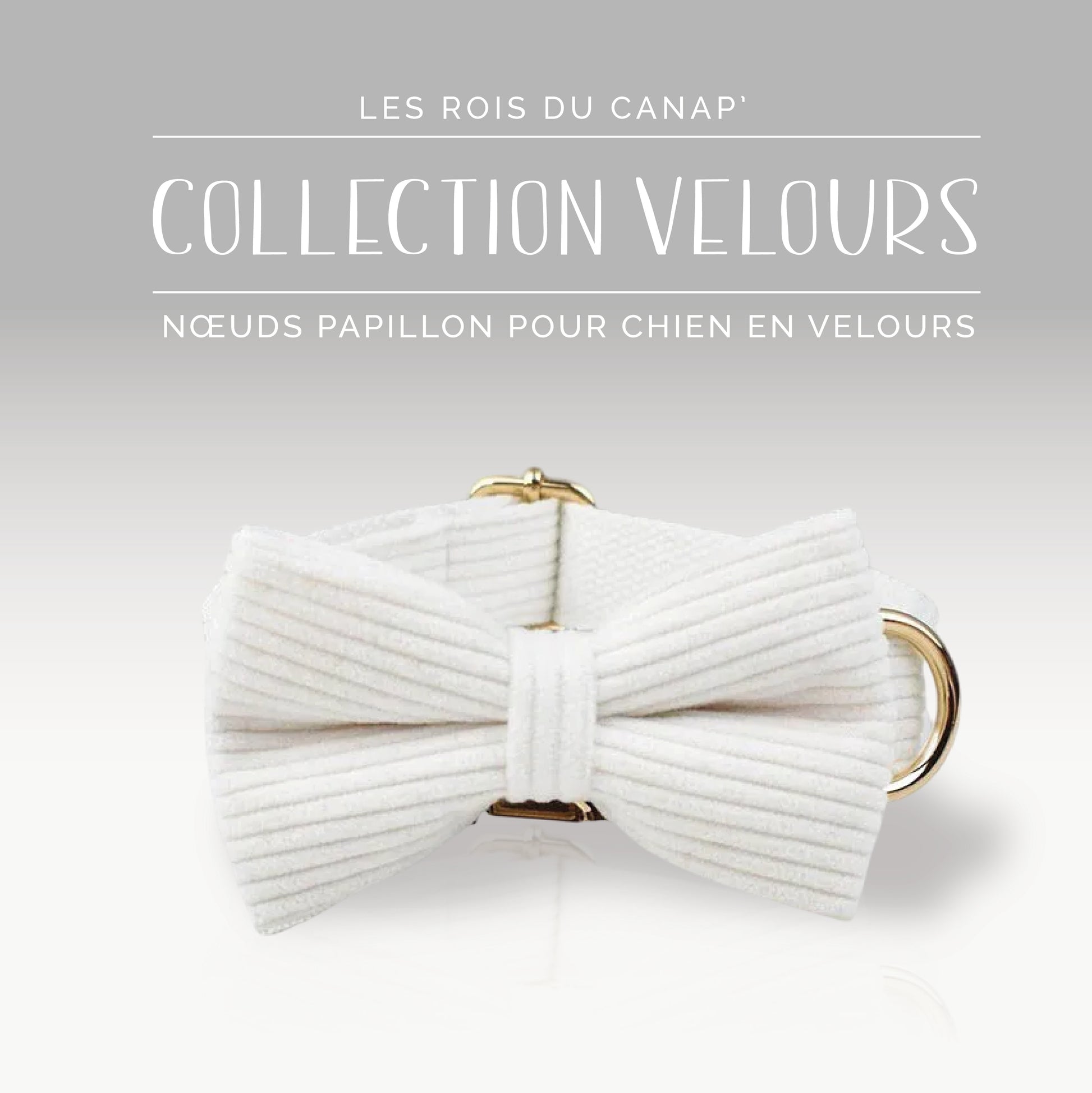 Nœud Papillon Chien - Velours - Blanc - Collier Nœud Papillon Chien - Velours - Blanc