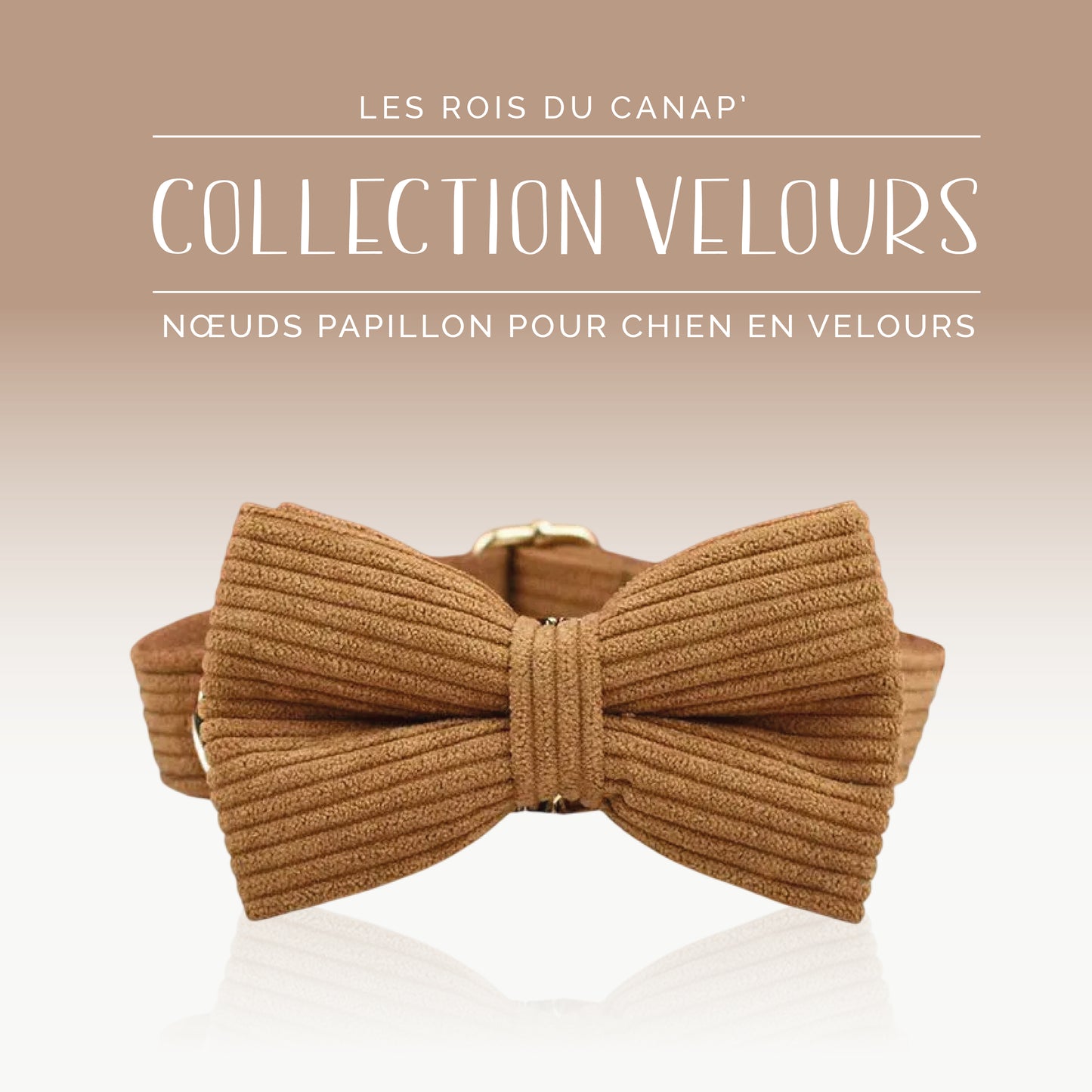 Nœud Papillon Chien - Velours - Marron - Collier Nœud Papillon Chien - Velours - Marron