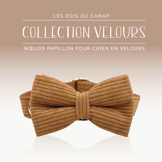 Nœud Papillon Chien - Velours - Marron - Collier Nœud Papillon Chien - Velours - Marron