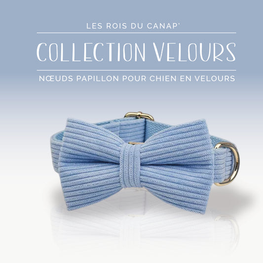 Nœud Papillon Chien - Velours - Bleu Ciel - Collier Nœud Papillon Chien - Velours - Bleu Ciel