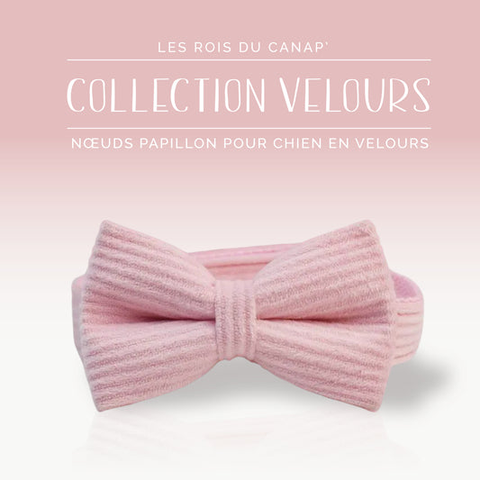 Nœud Papillon Chien - Velours - Rose Bonbon - Collier Nœud Papillon Chien - Velours - Rose Bonbon