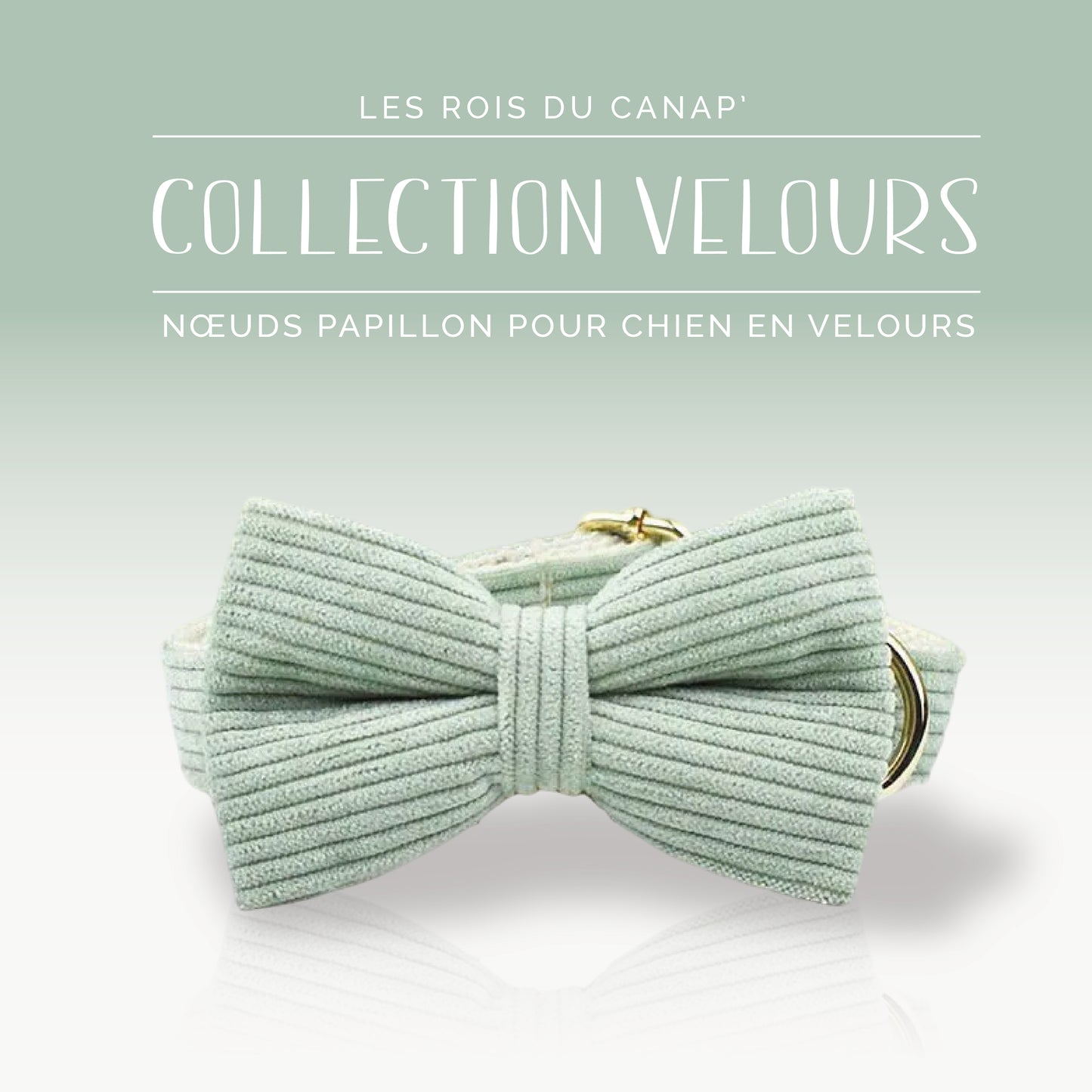 Nœud Papillon Chien - Velours - Vert Clair - Collier Nœud Papillon Chien - Velours - Vert Clair