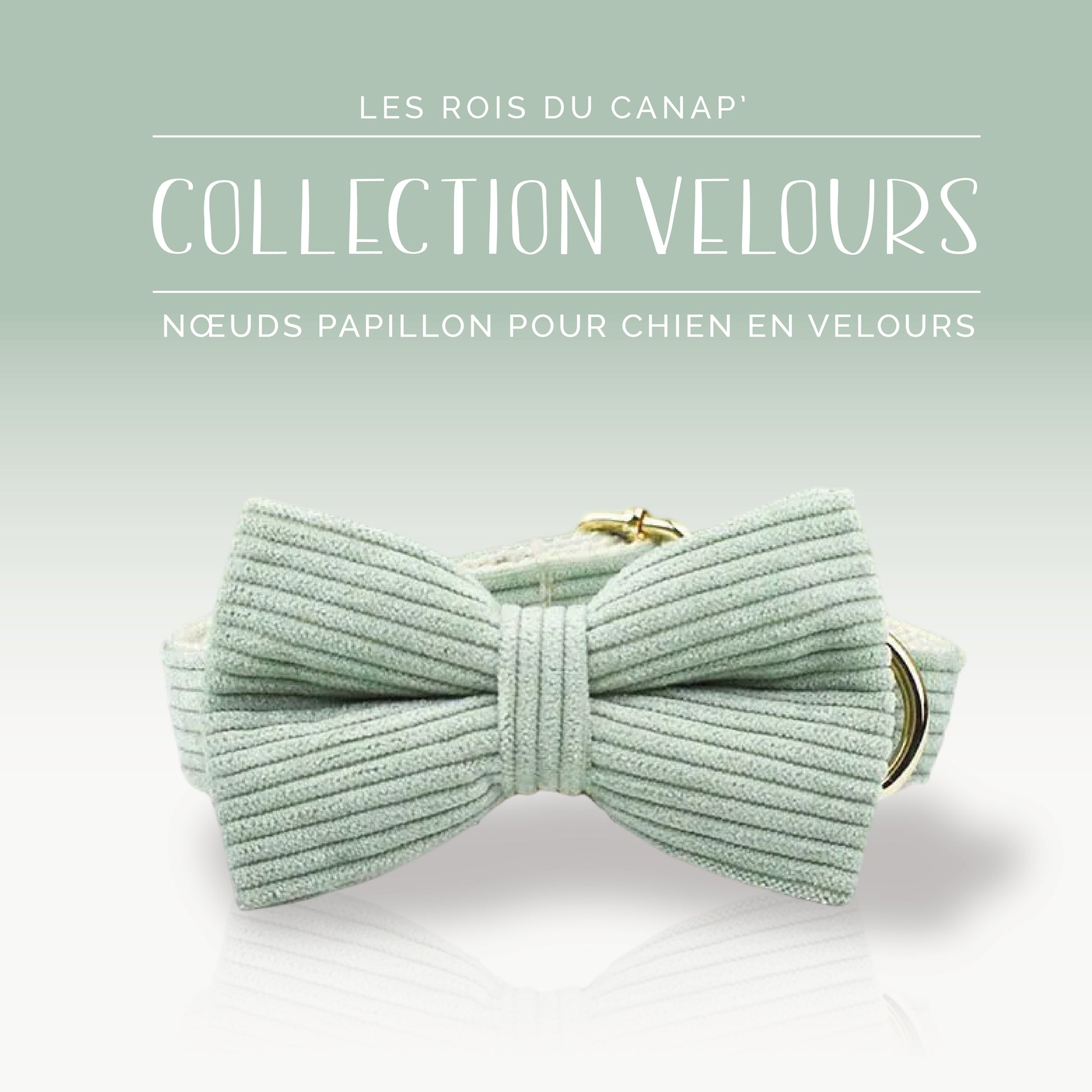 Nœud Papillon Chien - Velours - Vert Clair - Collier Nœud Papillon Chien - Velours - Vert Clair