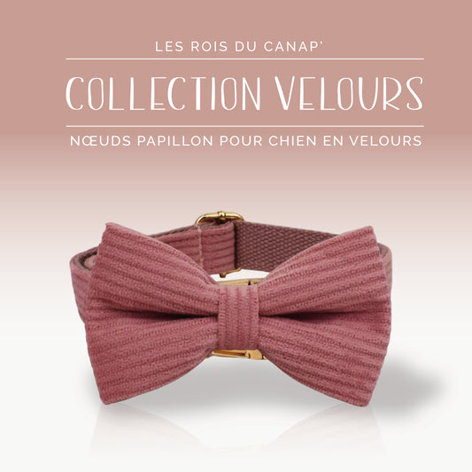 Nœud Papillon Chien - Velours - Rose Poudré - Collier Nœud Papillon Chien - Velours - Rose Poudré