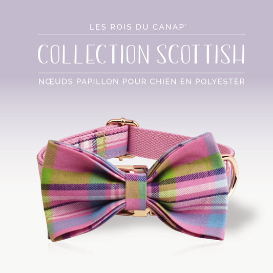 Nœud Papillon Chien - Scottish - Rose, Bleu et Vert - Collier Nœud Papillon Chien - Scottish - Rose, Bleu et Vert