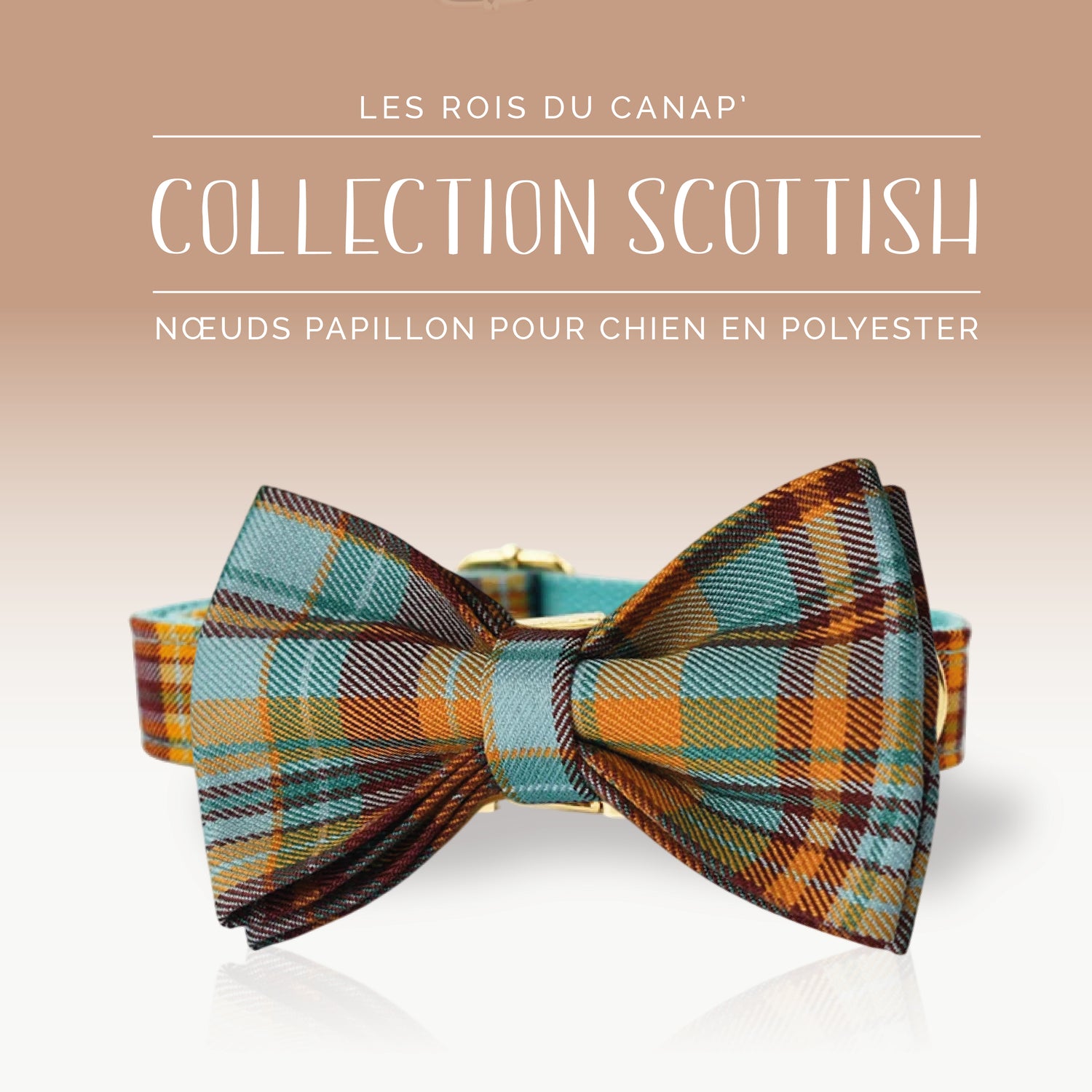 Nœud Papillon Chien - Scottish - Orange et Bleu