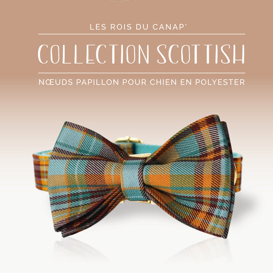Nœud Papillon Chien - Scottish - Orange et Bleu - Collier Nœud Papillon Chien - Scottish - Orange et Bleu