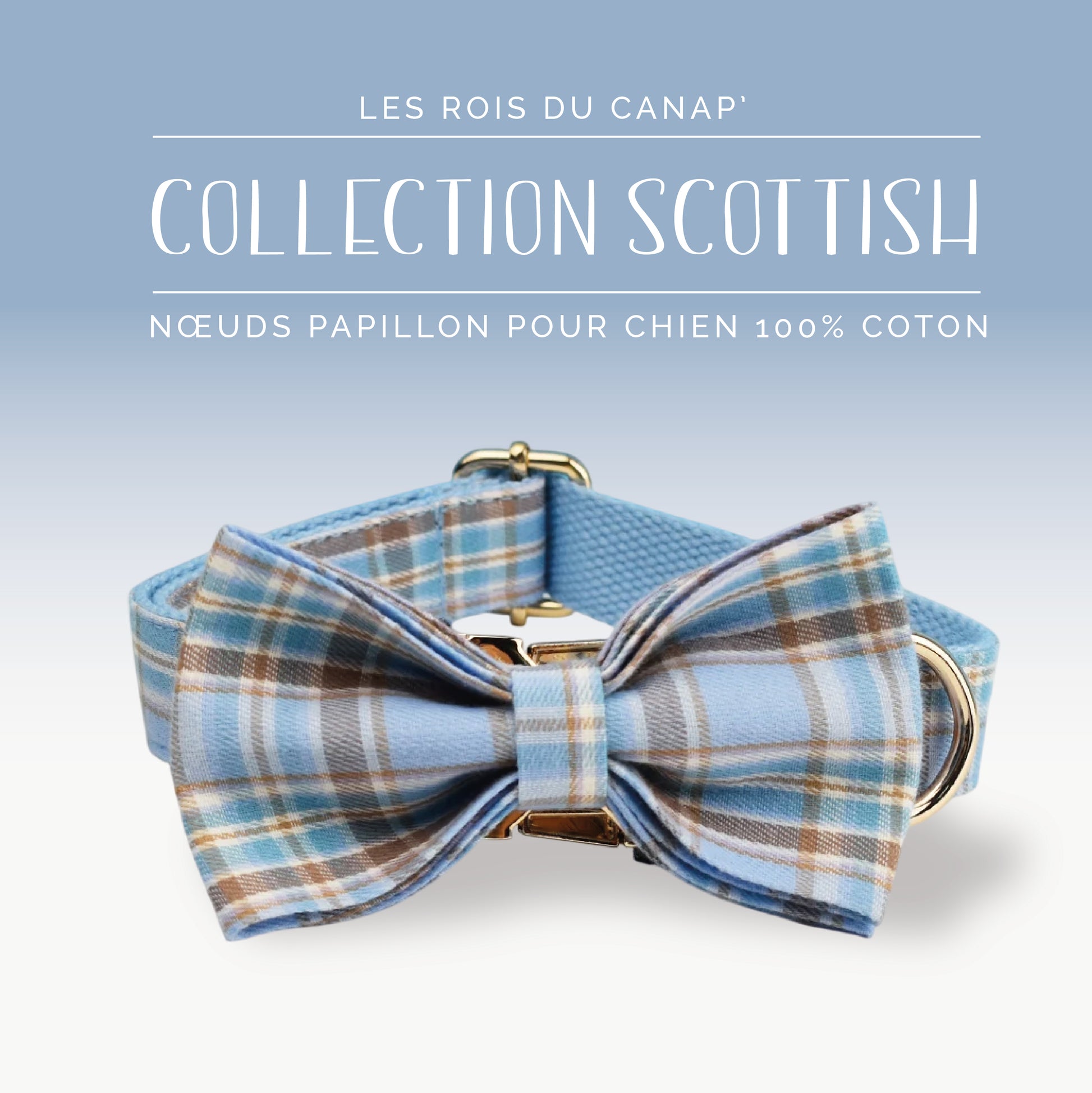 Nœud Papillon Chien - Scottish - Bleu et Marron - Collier Nœud Papillon Chien - Scottish - Bleu et Marron