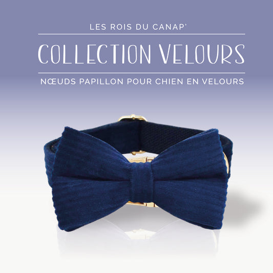 Nœud Papillon Chien - Velours - Bleu Marine - Collier Nœud Papillon Chien - Velours - Bleu Marine