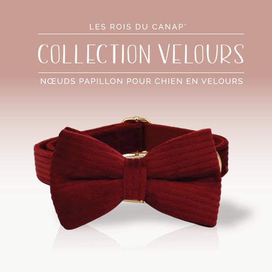 Nœud Papillon Chien - Velours - Rouge - Collier Nœud Papillon Chien - Velours - Rouge