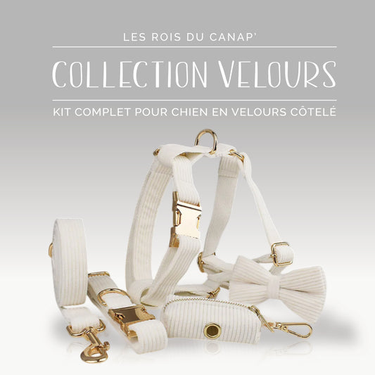  Kit Complet Chien 5 pièces - Velours - Blanc