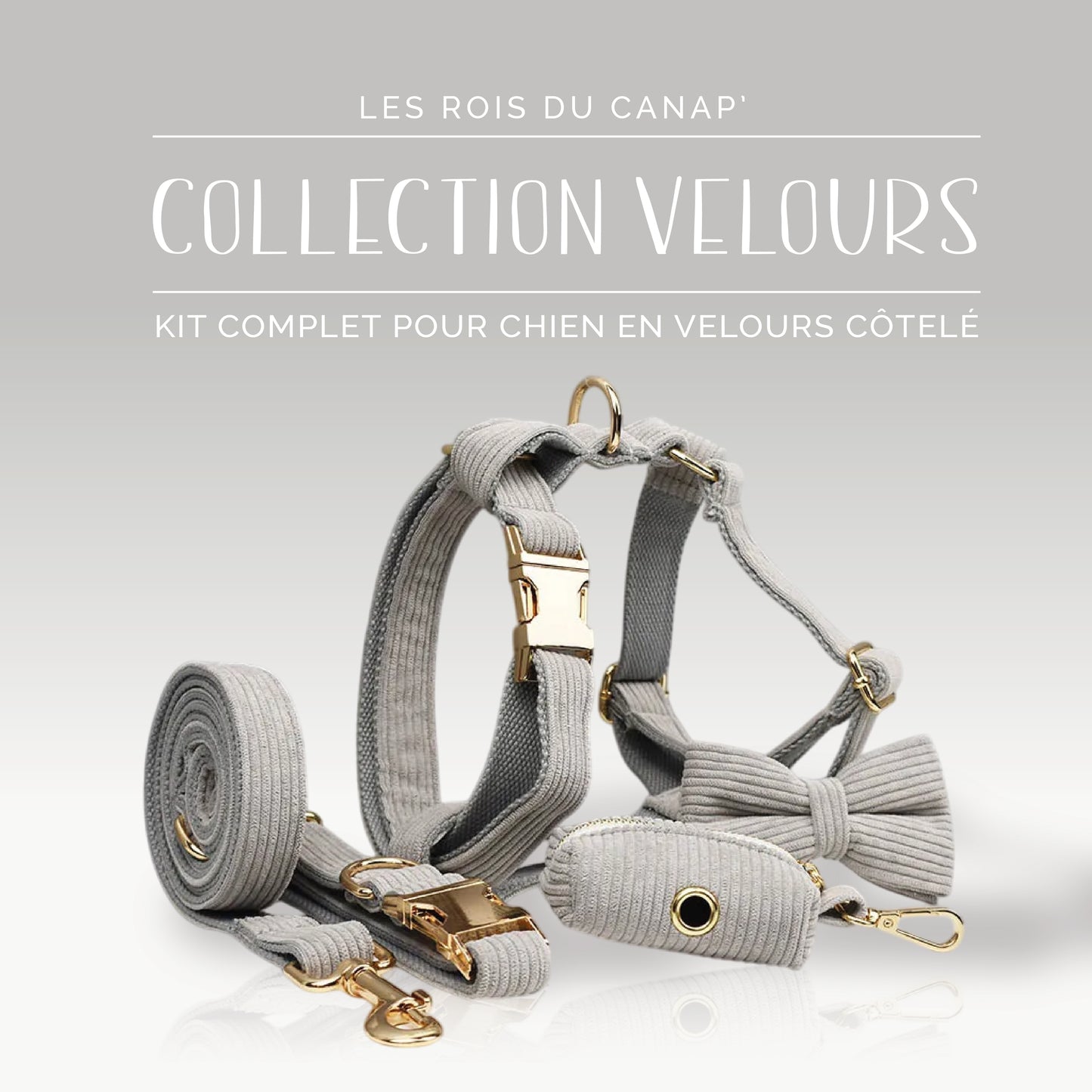 Kit Complet Chien 5 pièces - Velours - Gris