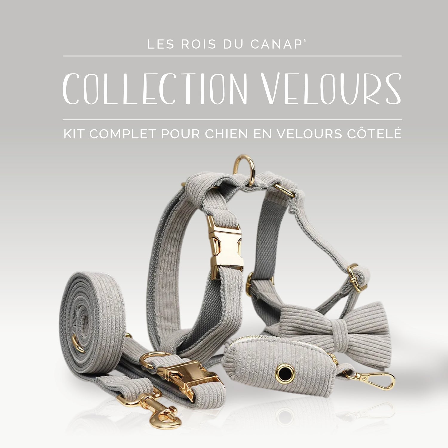 Kit Complet Chien 5 pièces - Velours - Gris